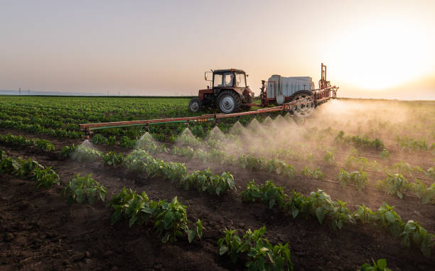 Best Pest Control Cost  in Whiskey Creek, FL