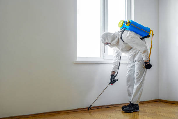 Best Commercial Pest Control Services  in Whiskey Creek, FL