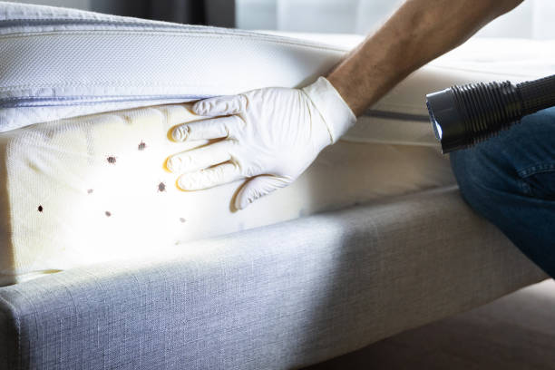 Best Best Pest Control Companies  in Whiskey Creek, FL