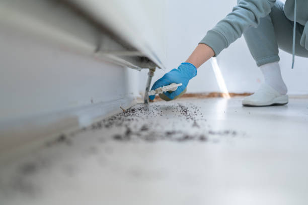 Wildlife Control Services in Whiskey Creek, FL