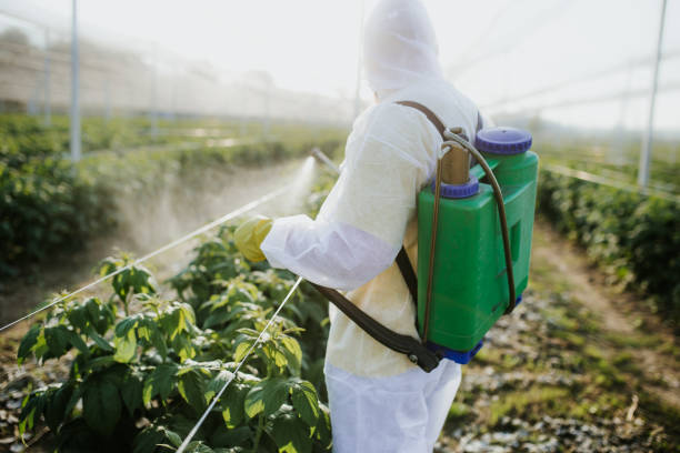 Professional Pest Control in Whiskey Creek, FL